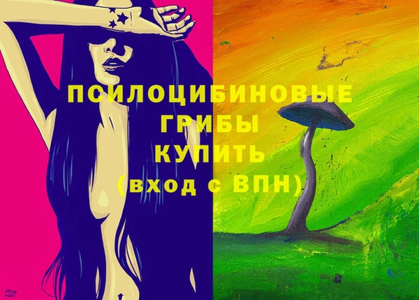 кристаллы Гусь-Хрустальный
