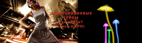 не бодяженный Гусиноозёрск